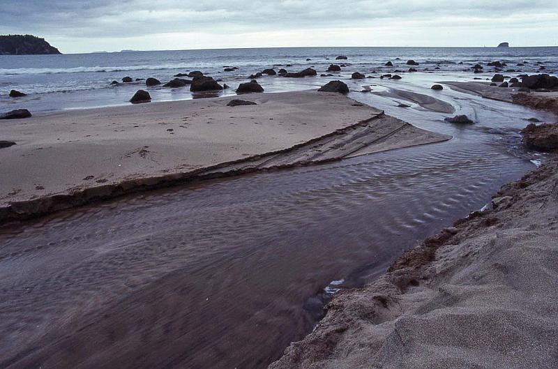 WT 0200 018-25 New Zealand.jpg